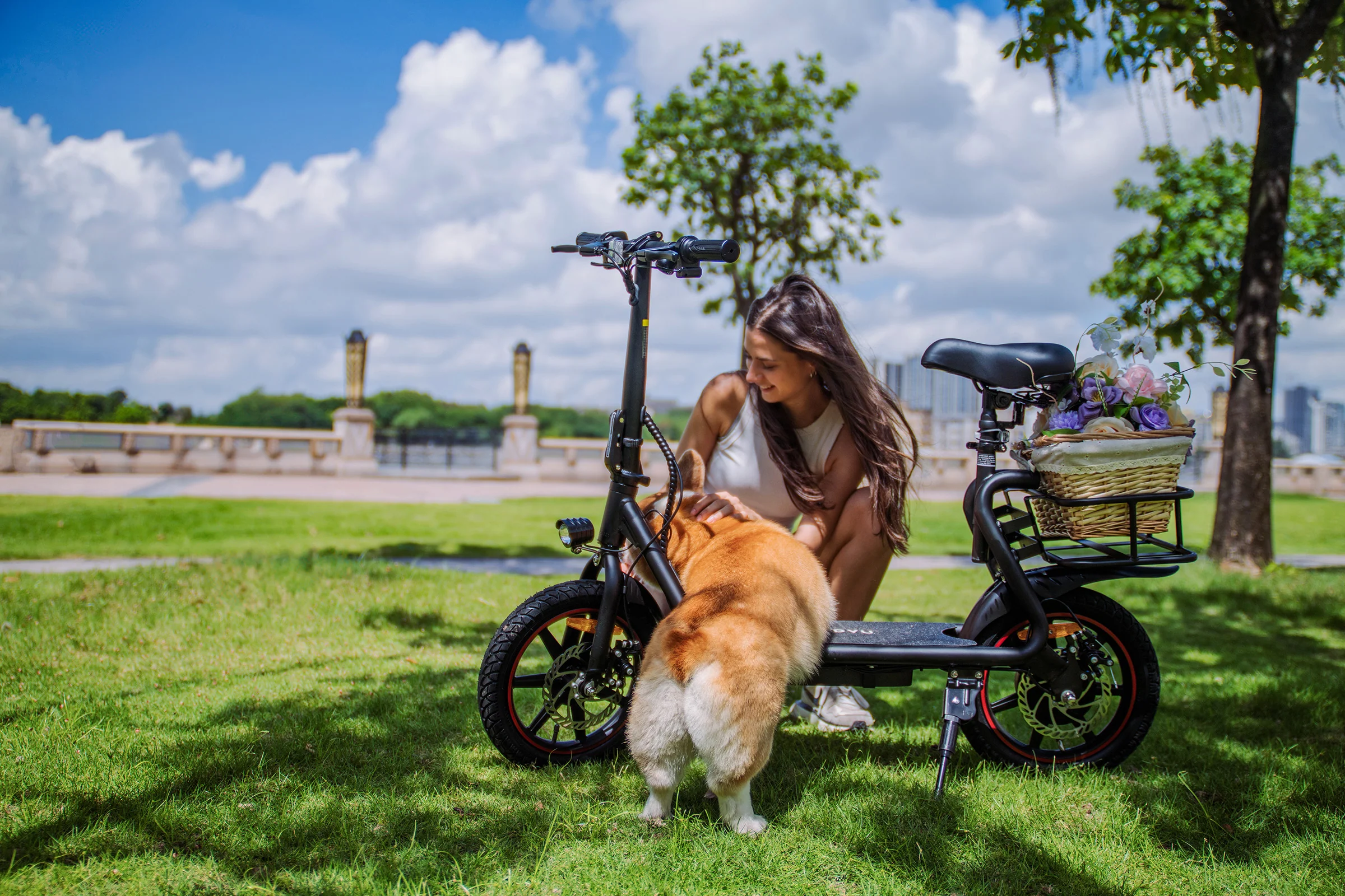 DYU C4 14 inch Foldable Electric Scooter - Image 4